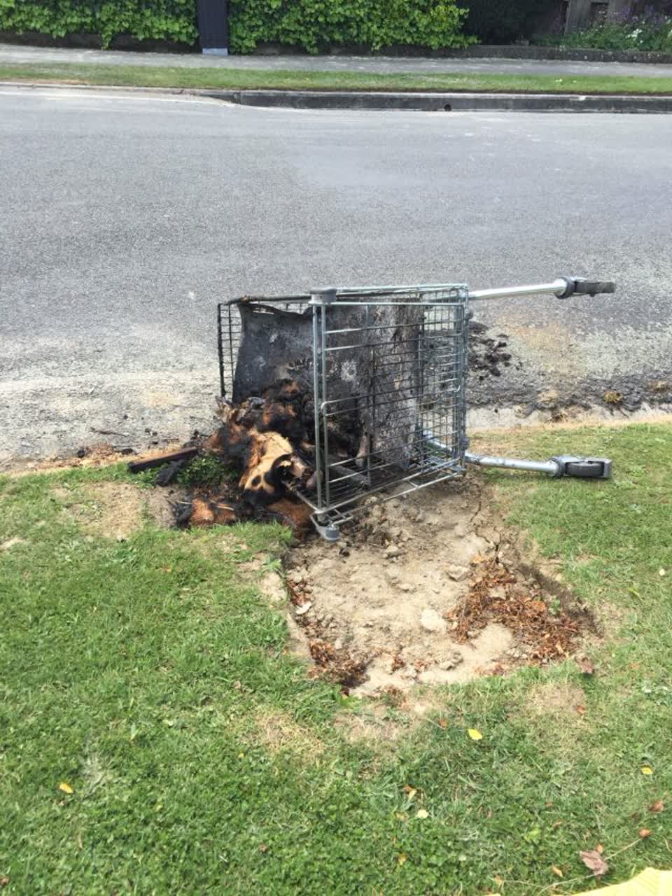 The photograph attached to this roading/streets report