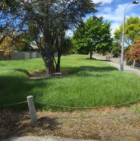 Parks, a report photo