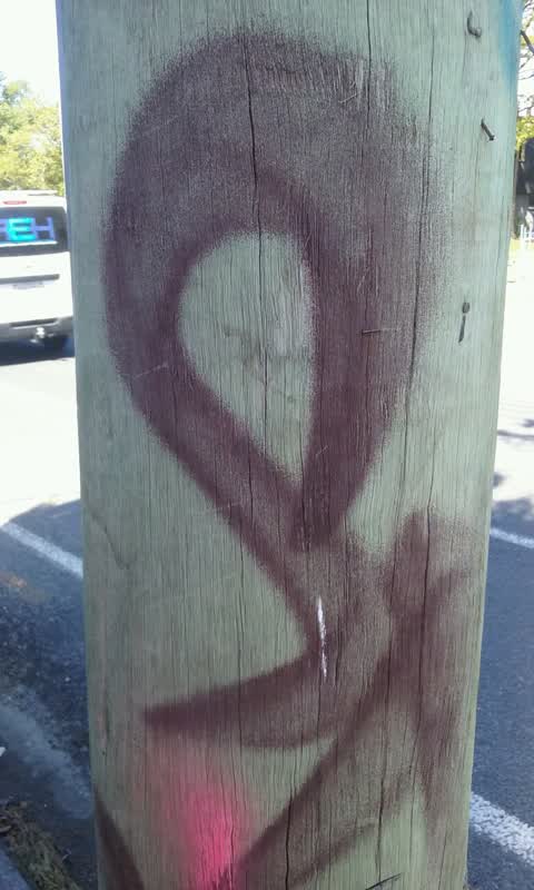 Graffiti, a report photo