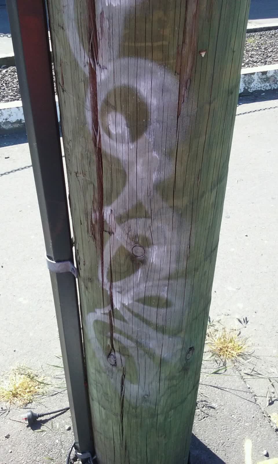 The photograph attached to this parks report