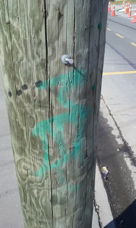 Graffiti, a report photo