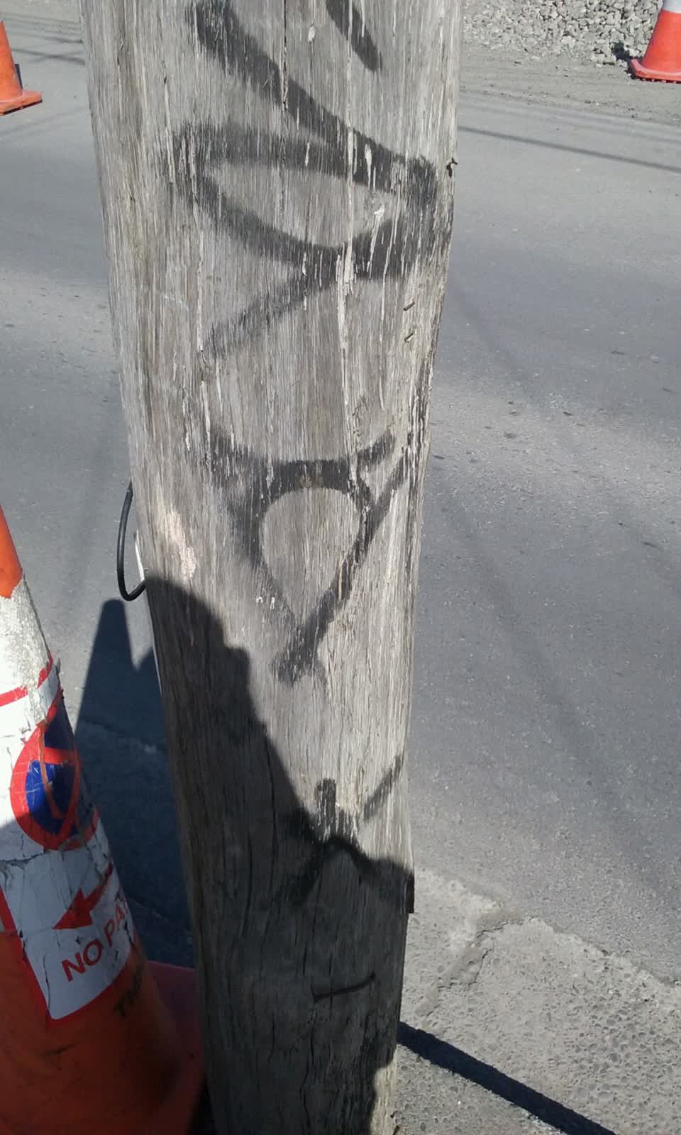The photograph attached to this graffiti report