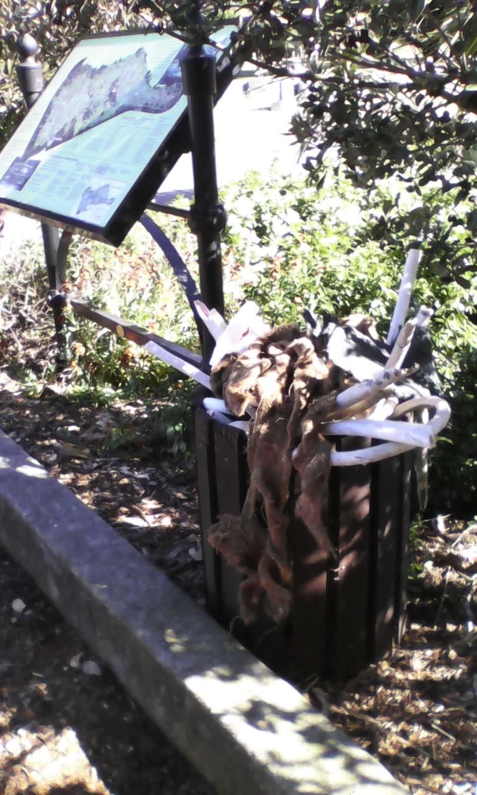 The photograph attached to this rubbish/recycling report