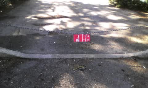 Graffiti — a report photo