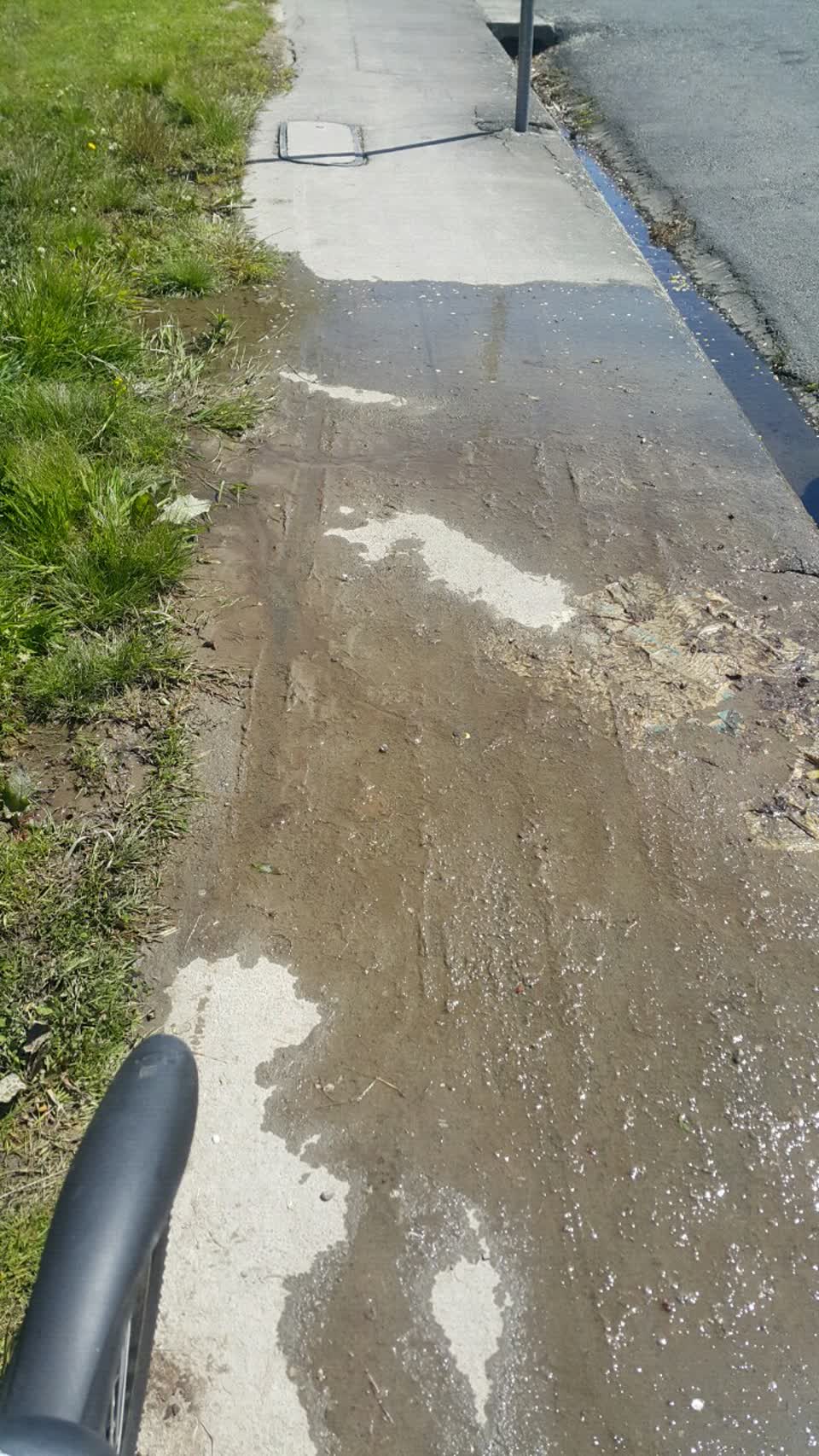 The photograph attached to this water supply report