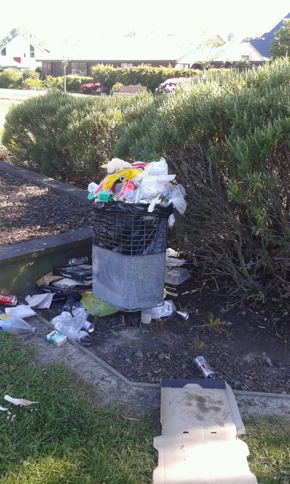 The photograph attached to this rubbish/recycling report