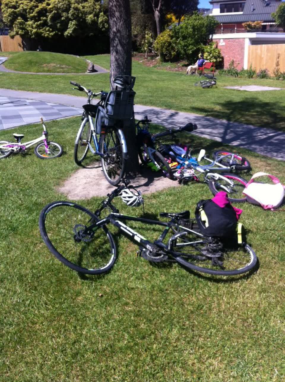 The photograph attached to this parks report