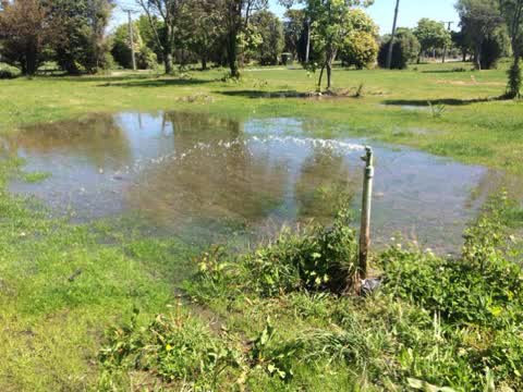 Parks, a report photo