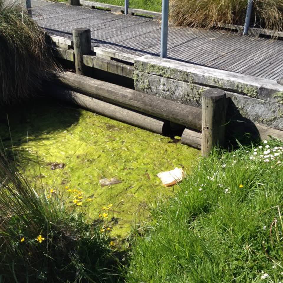 The photograph attached to this wastewater/stormwater report