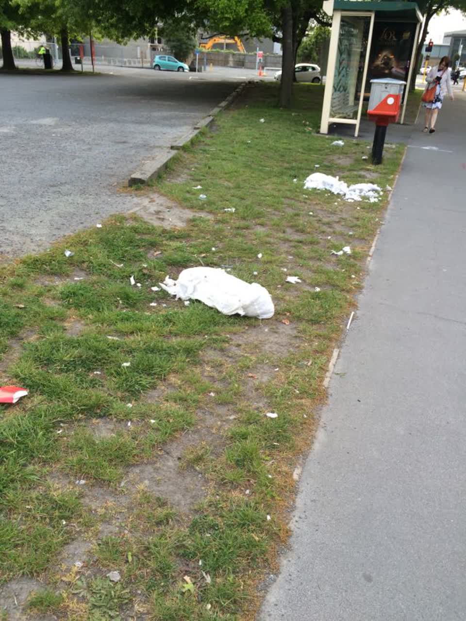 The photograph attached to this rubbish/recycling report