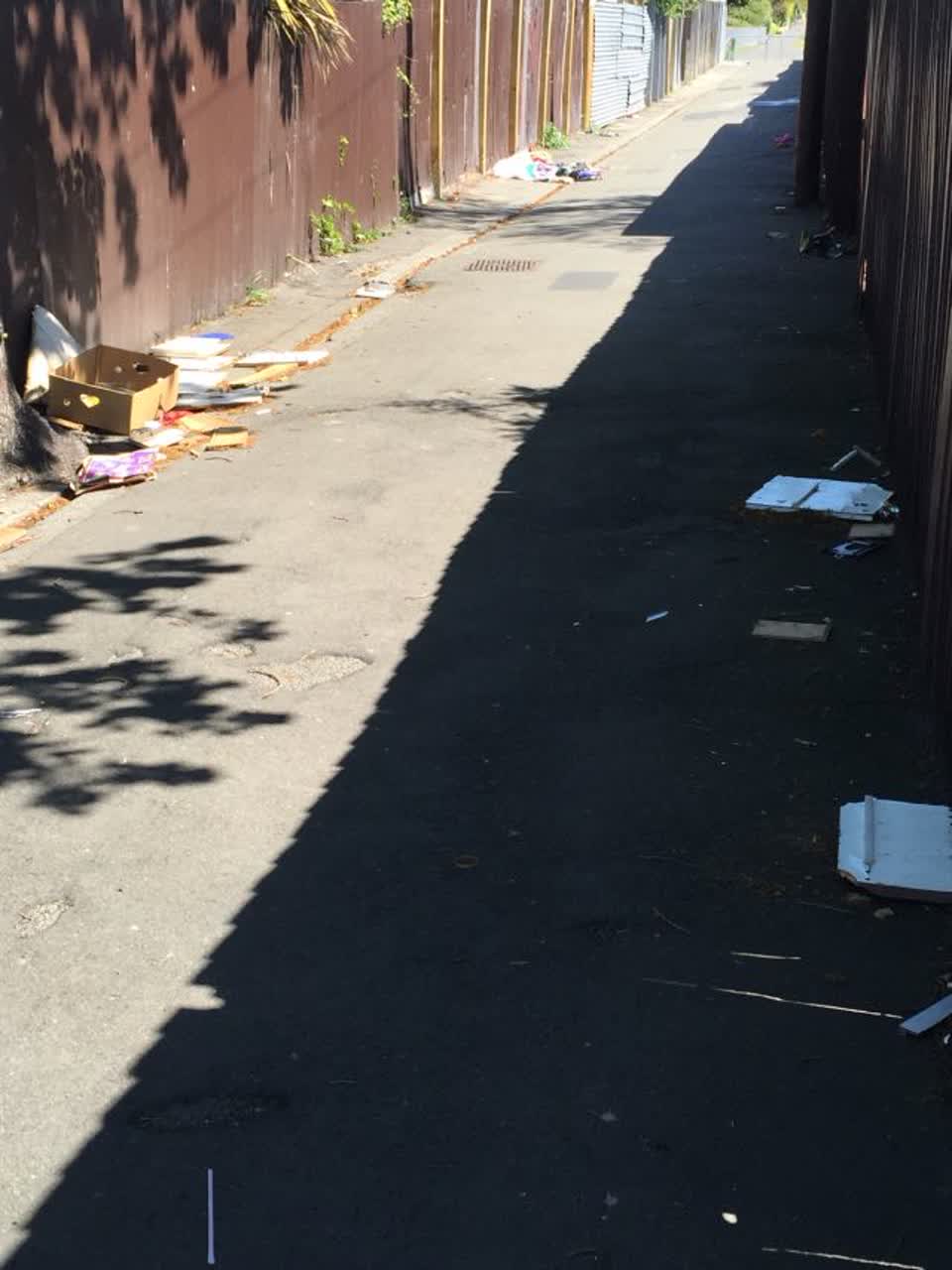 The photograph attached to this rubbish/recycling report