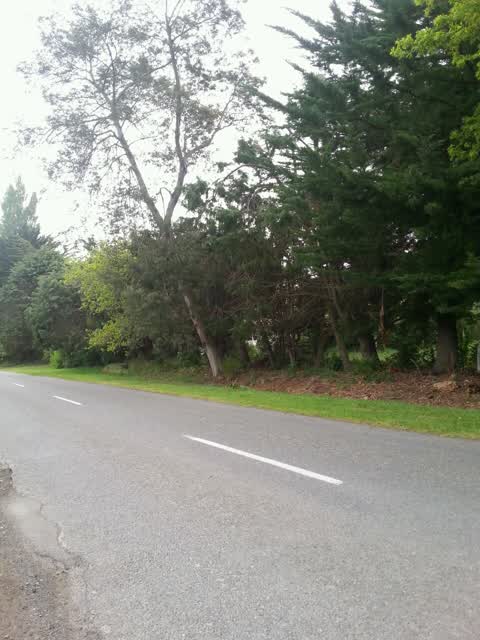 Roading/Streets, a report photo