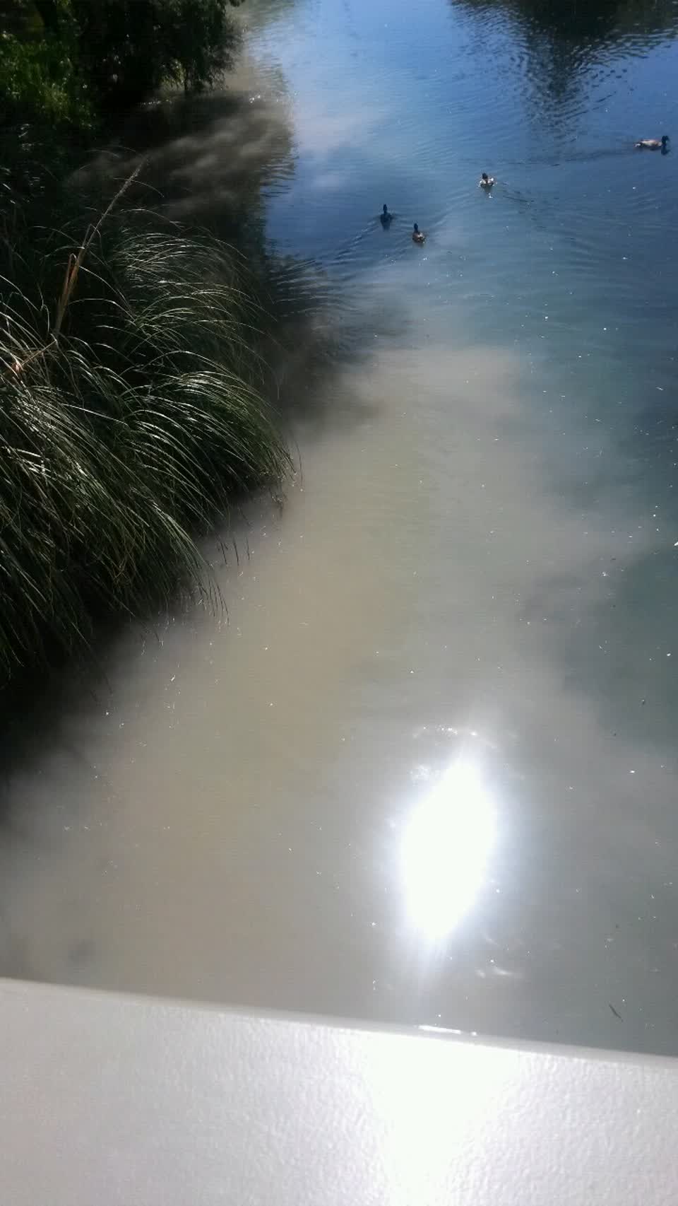 The photograph attached to this wastewater/stormwater report