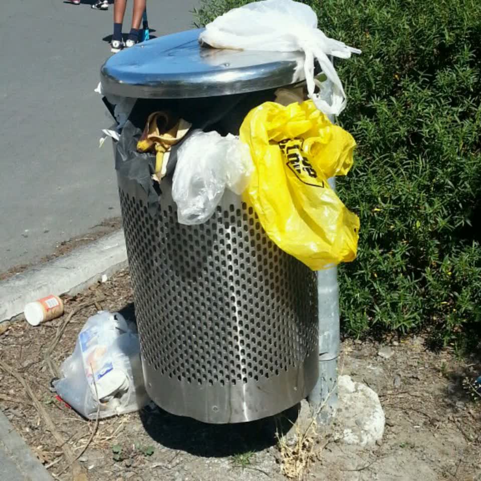 The photograph attached to this rubbish/recycling report