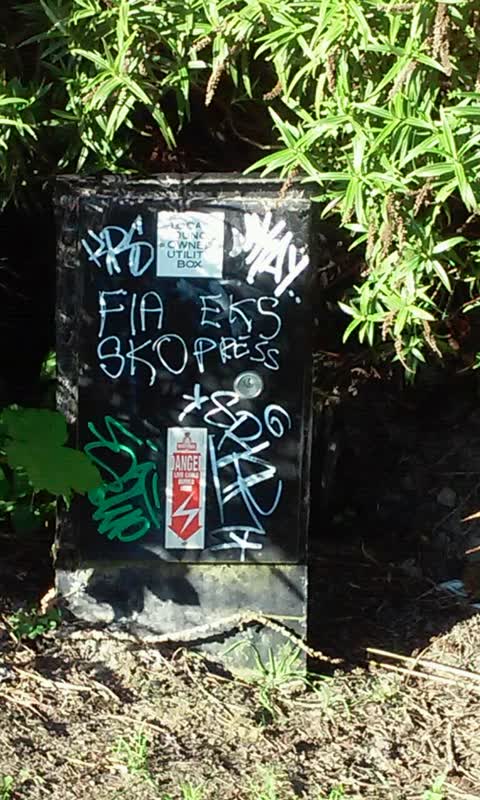 Roading/Streets, a report photo