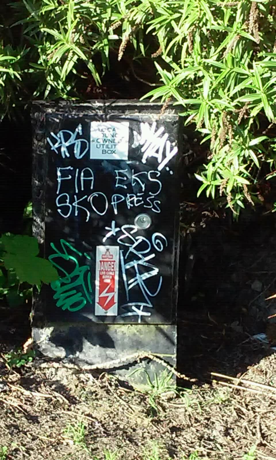 The photograph attached to this roading/streets report