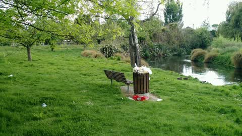 Rubbish/Recycling, a report photo