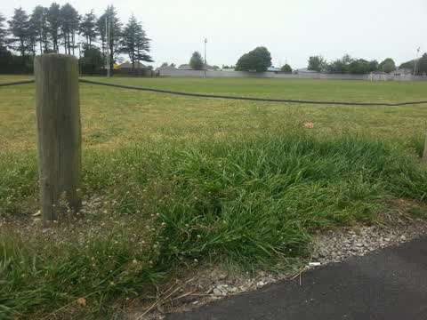 Parks, a report photo