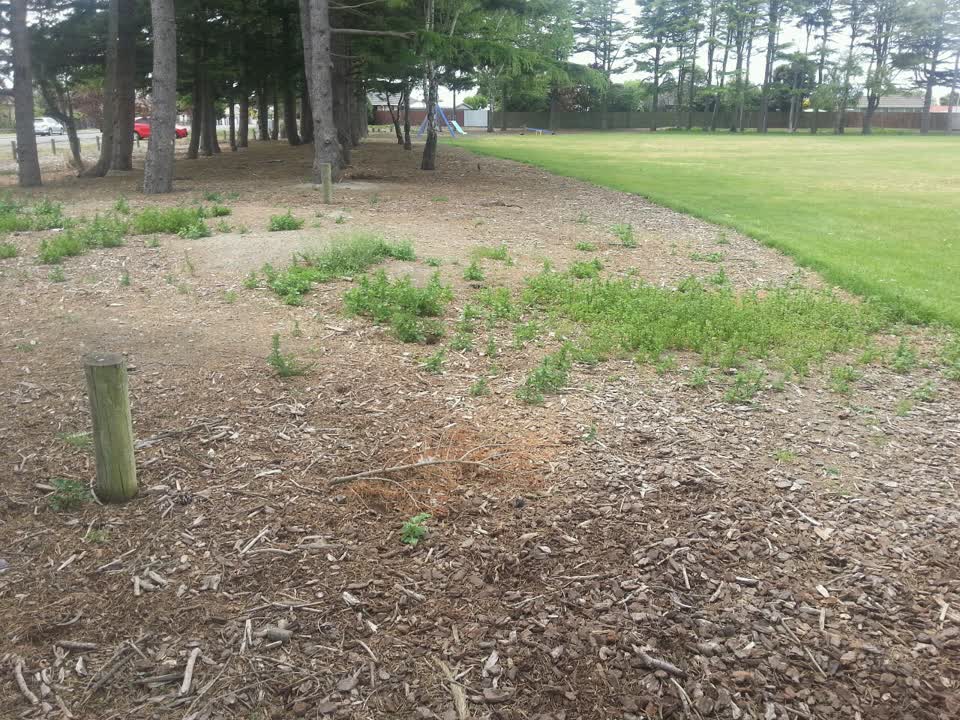 The photograph attached to this parks report