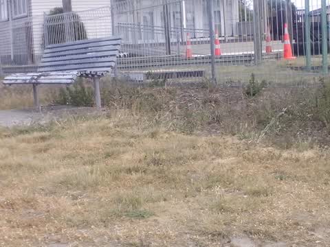 Parks, a report photo