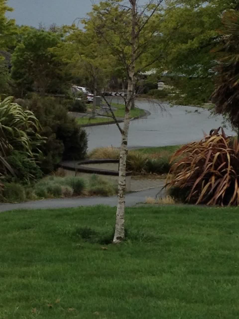 The photograph attached to this parks report