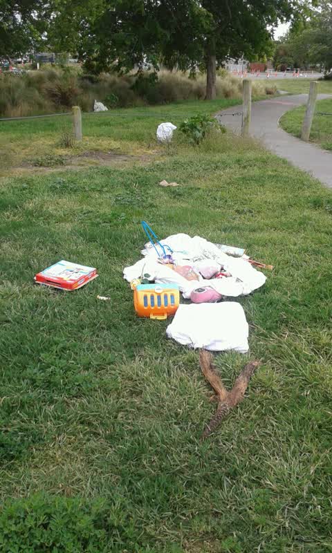 Rubbish/Recycling, a report photo