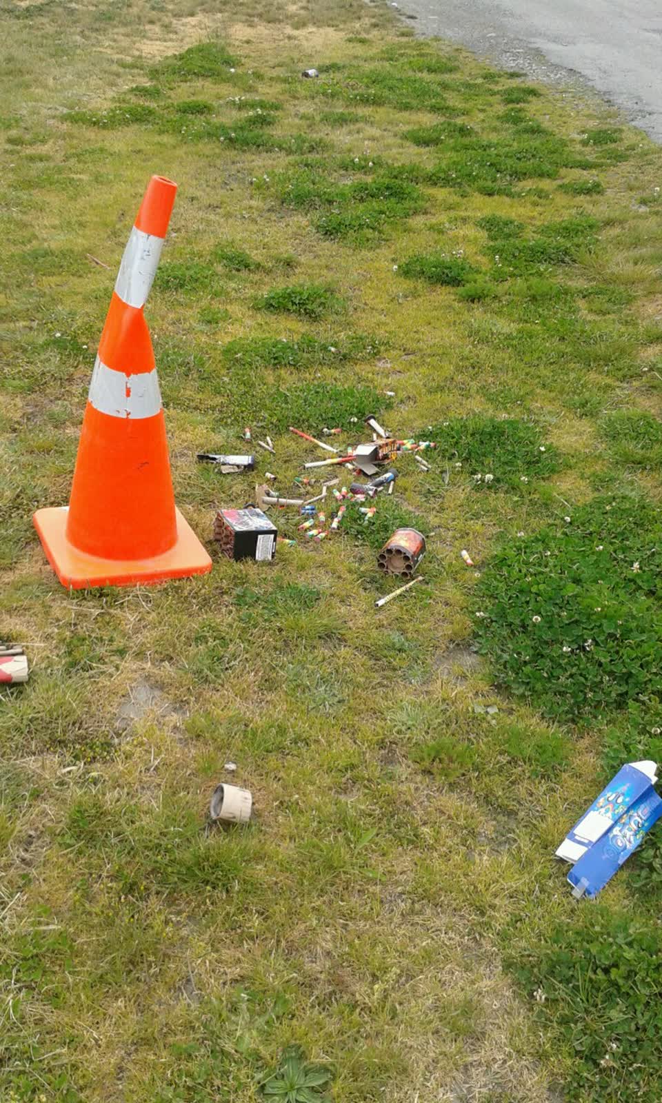 The photograph attached to this rubbish/recycling report