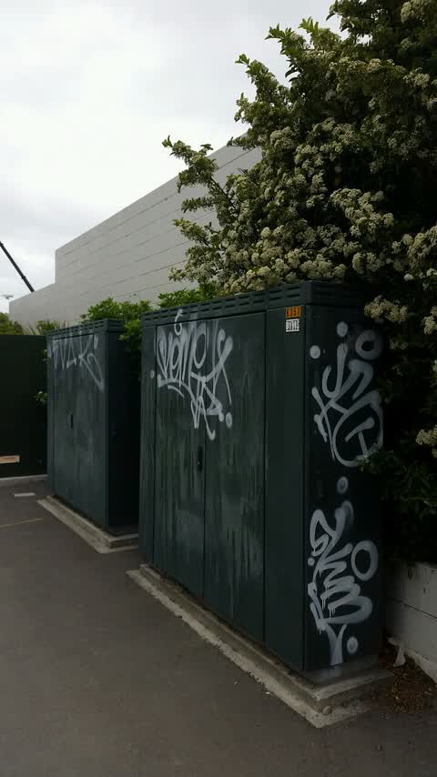 Graffiti — a report photo