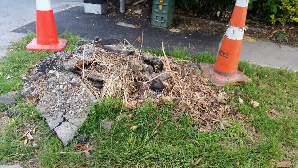 The photograph attached to this rubbish/recycling report