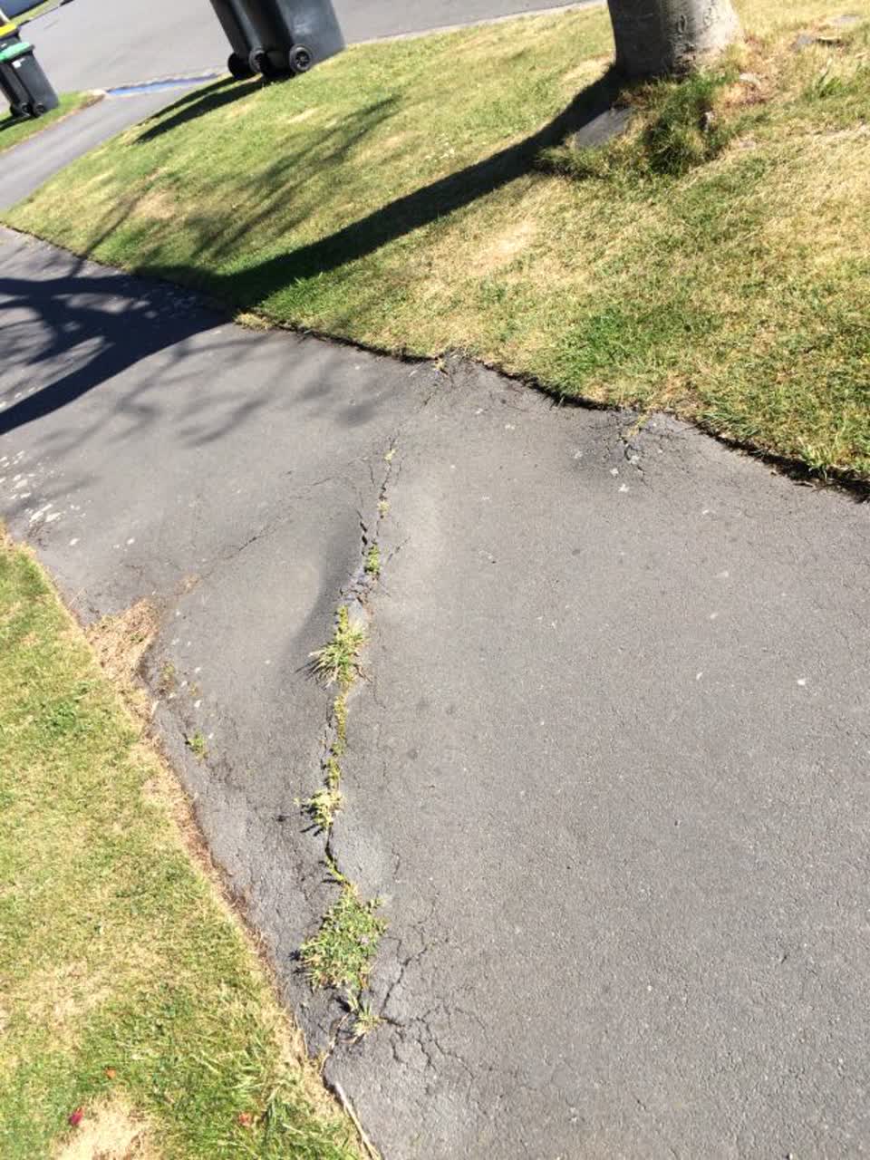 The photograph attached to this roading/streets report