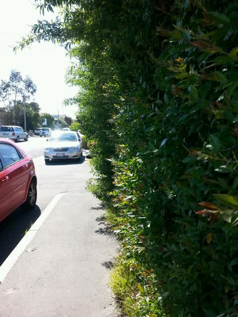 Roading/Streets, a report photo