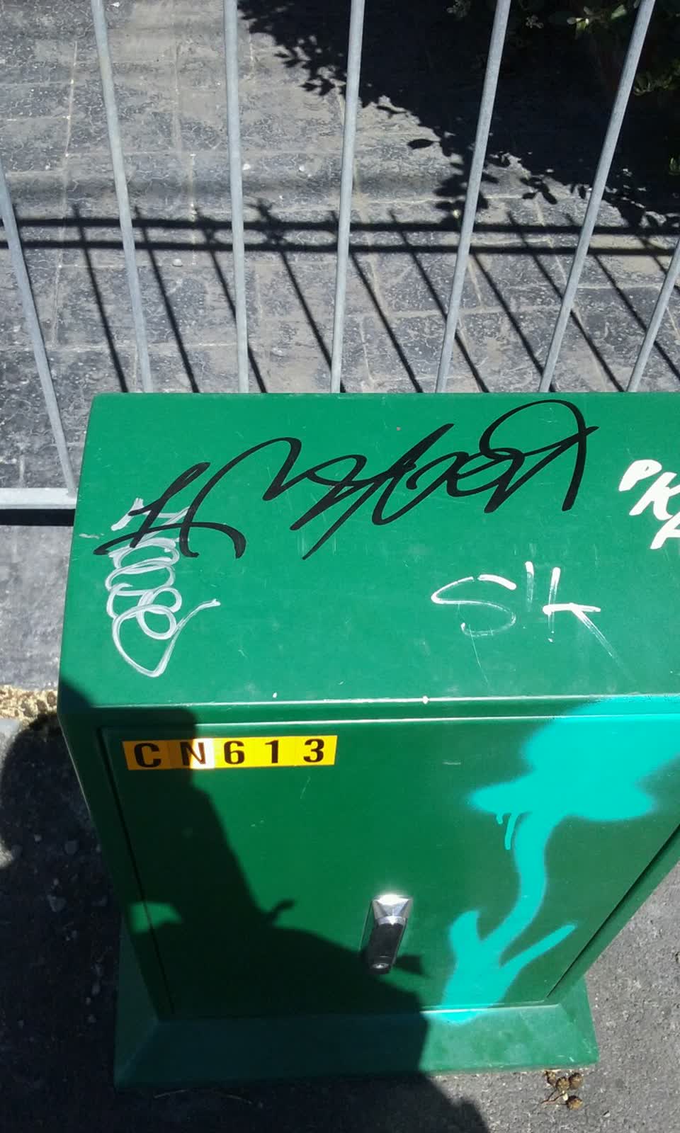 The photograph attached to this graffiti report