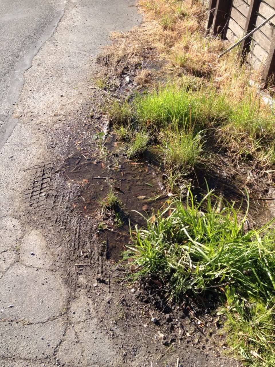 The photograph attached to this water supply report