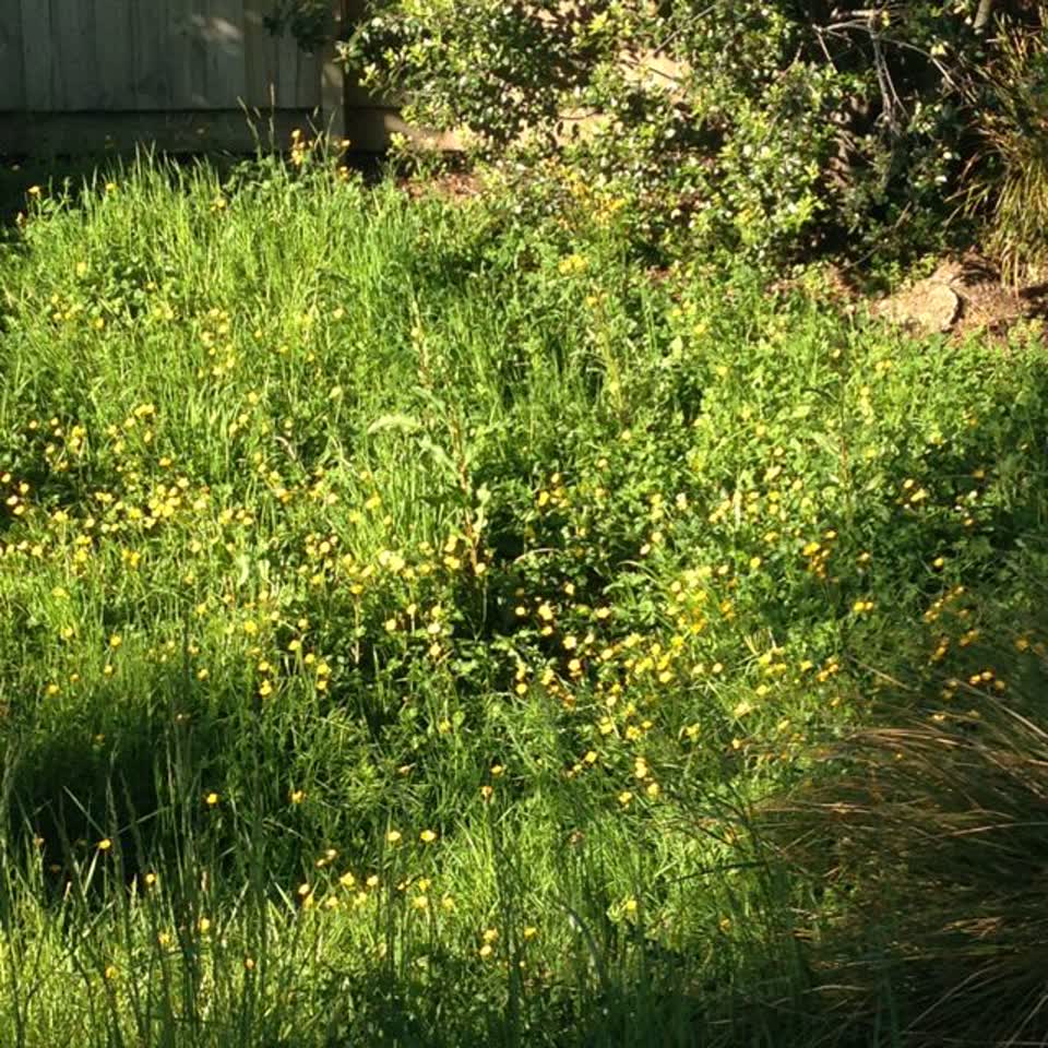The photograph attached to this wastewater/stormwater report