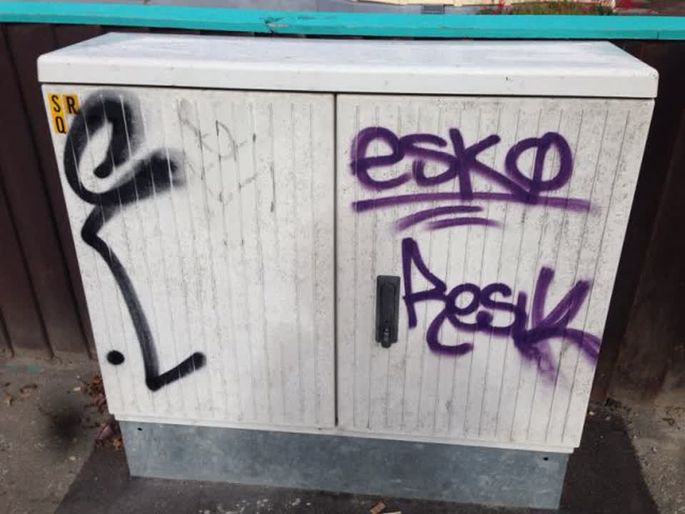The photograph attached to this graffiti report
