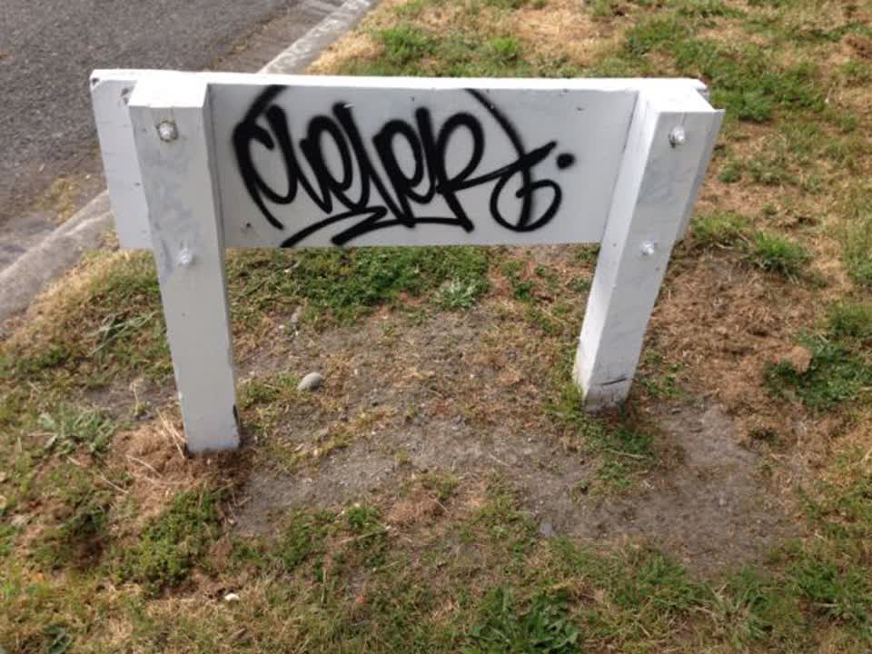 The photograph attached to this graffiti report