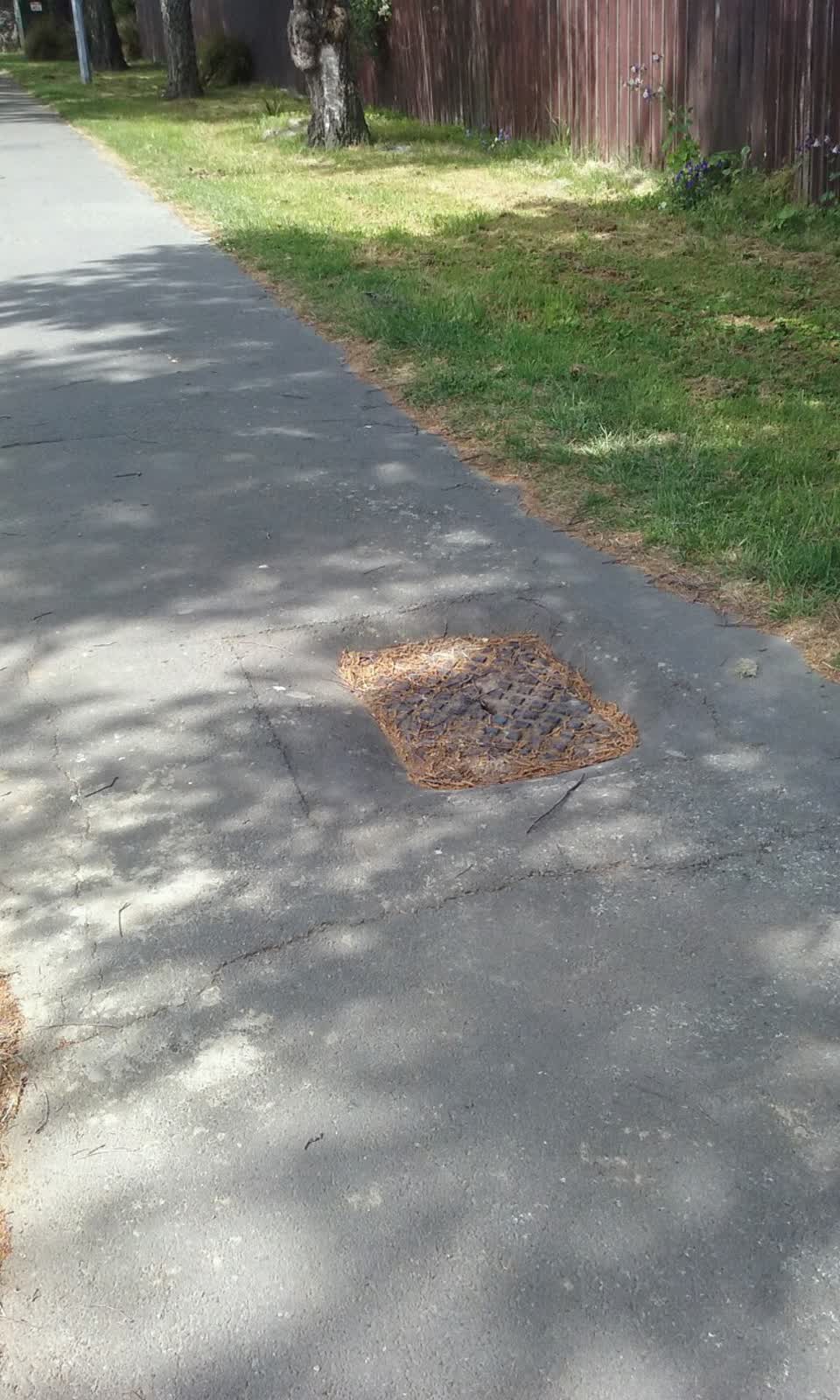 The photograph attached to this roading/streets report