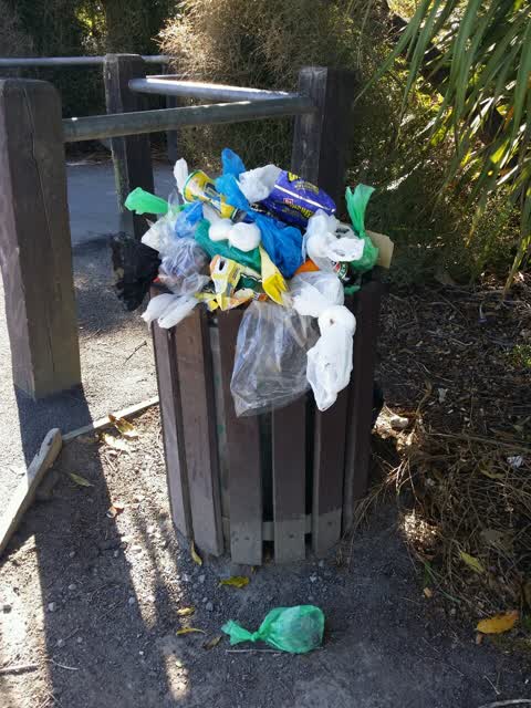 Rubbish/Recycling, a report photo