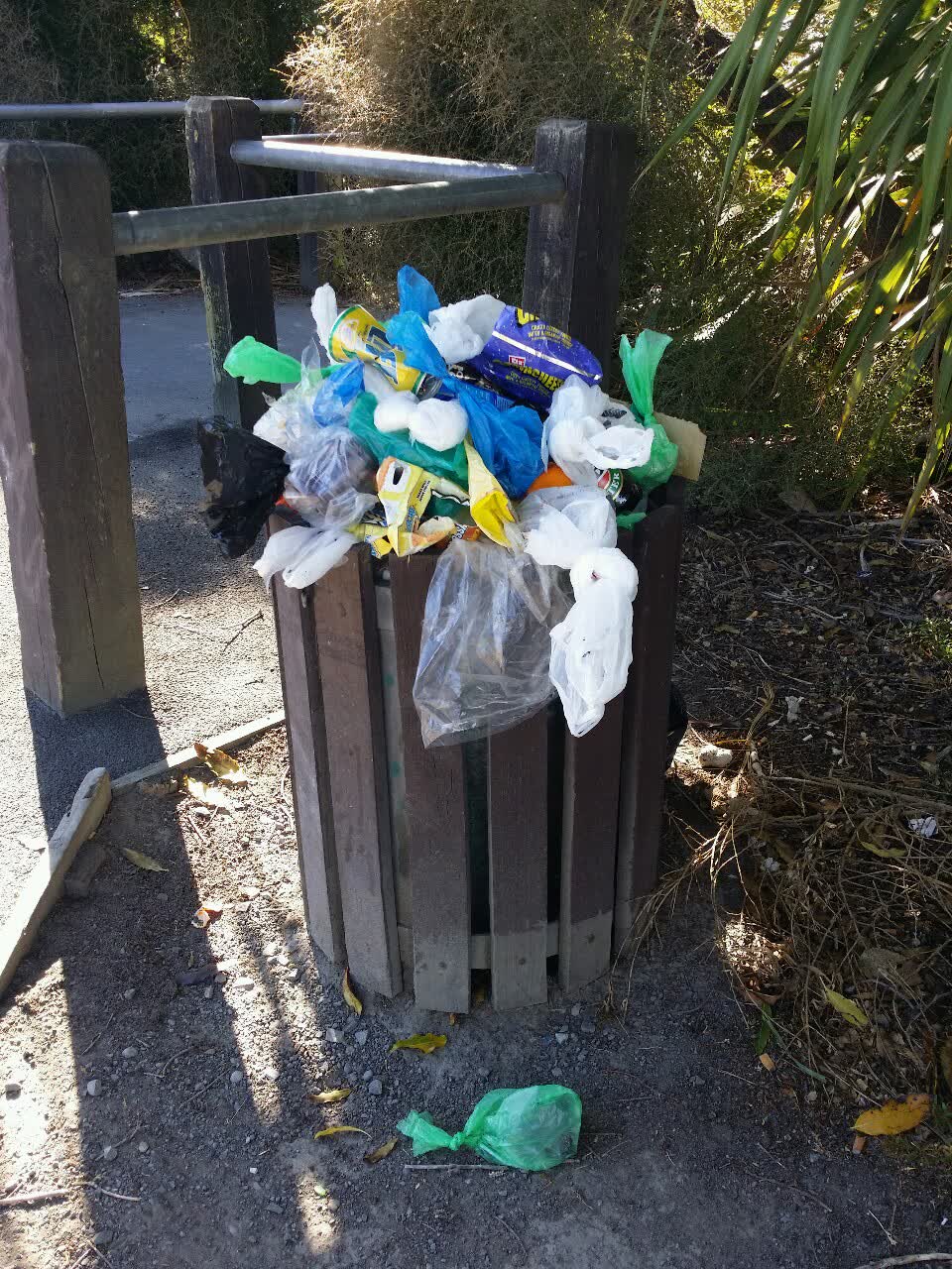The photograph attached to this rubbish/recycling report