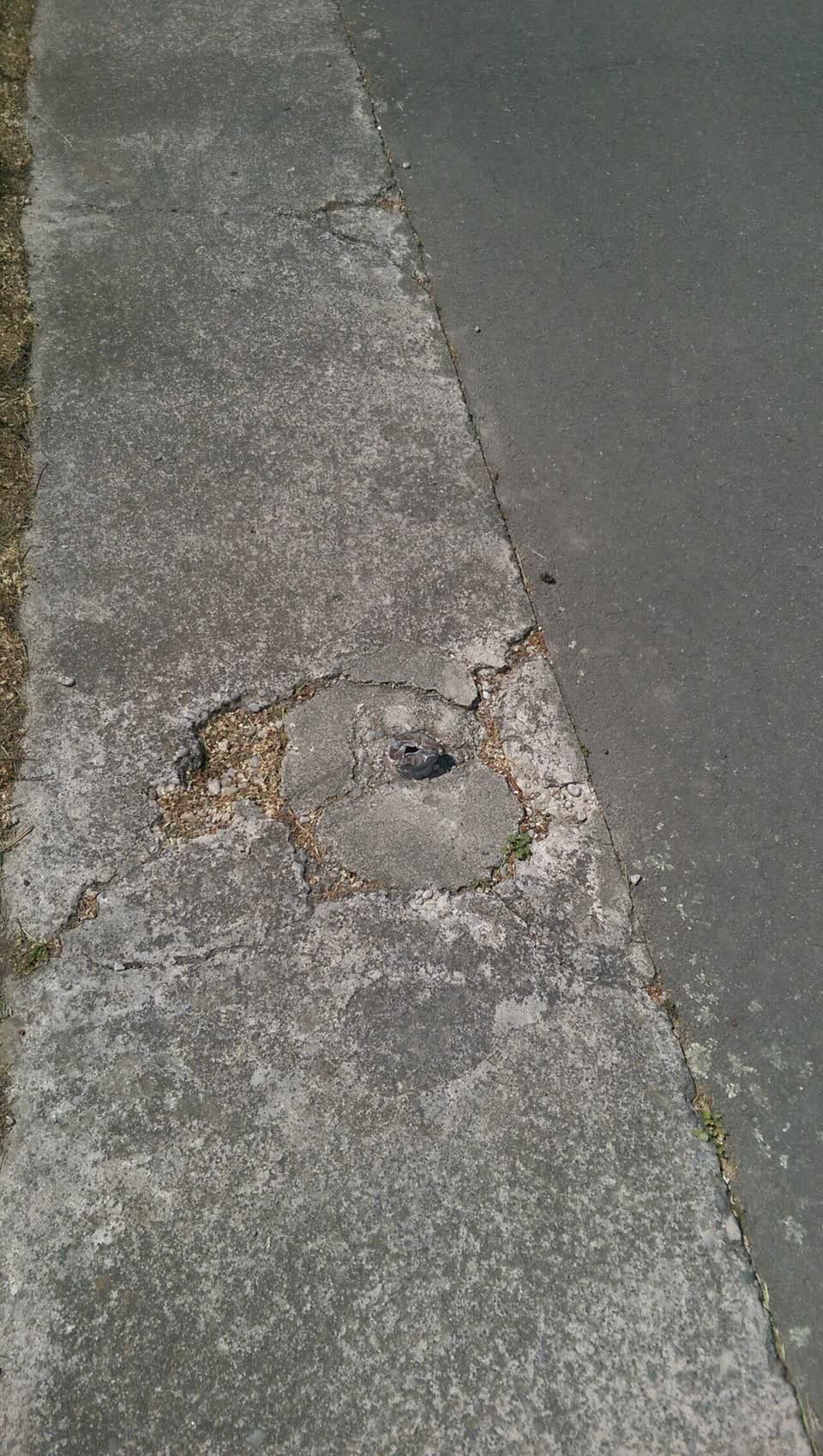 The photograph attached to this parks report