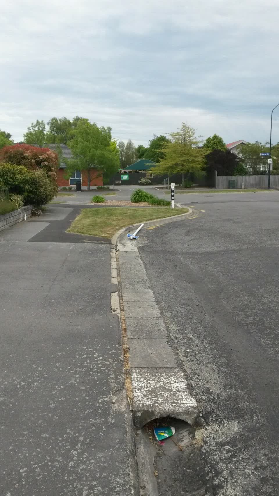 The photograph attached to this roading/streets report