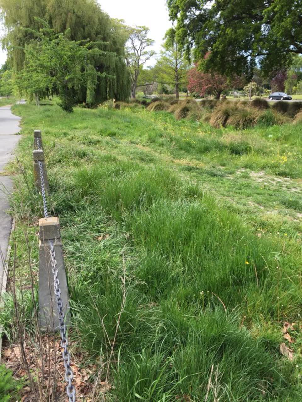 The photograph attached to this parks report