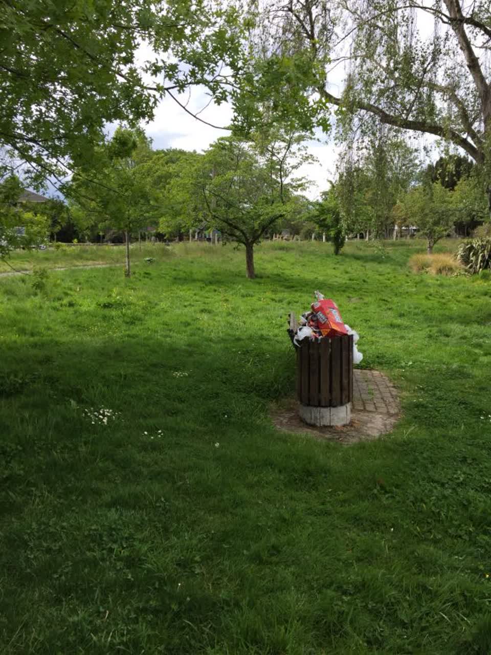 The photograph attached to this rubbish/recycling report