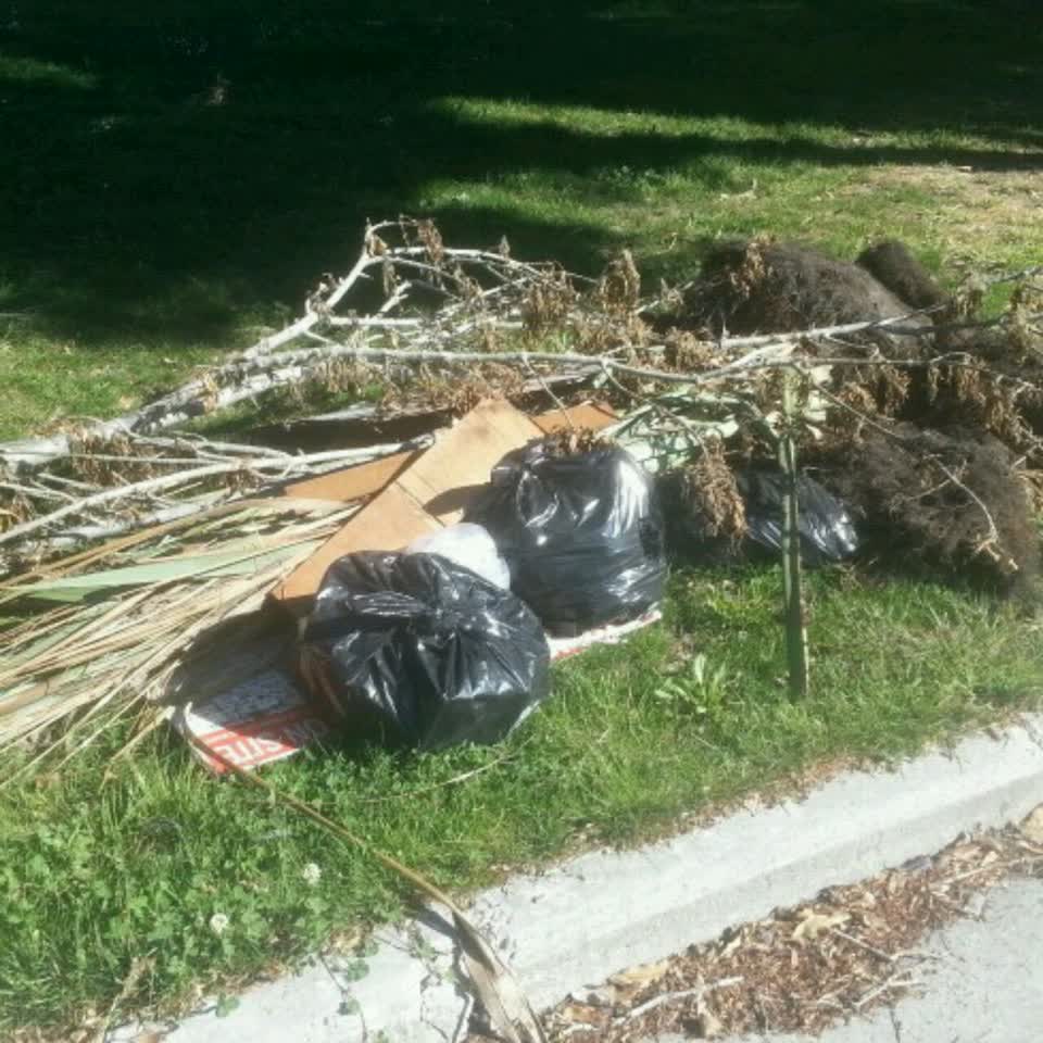 The photograph attached to this rubbish/recycling report