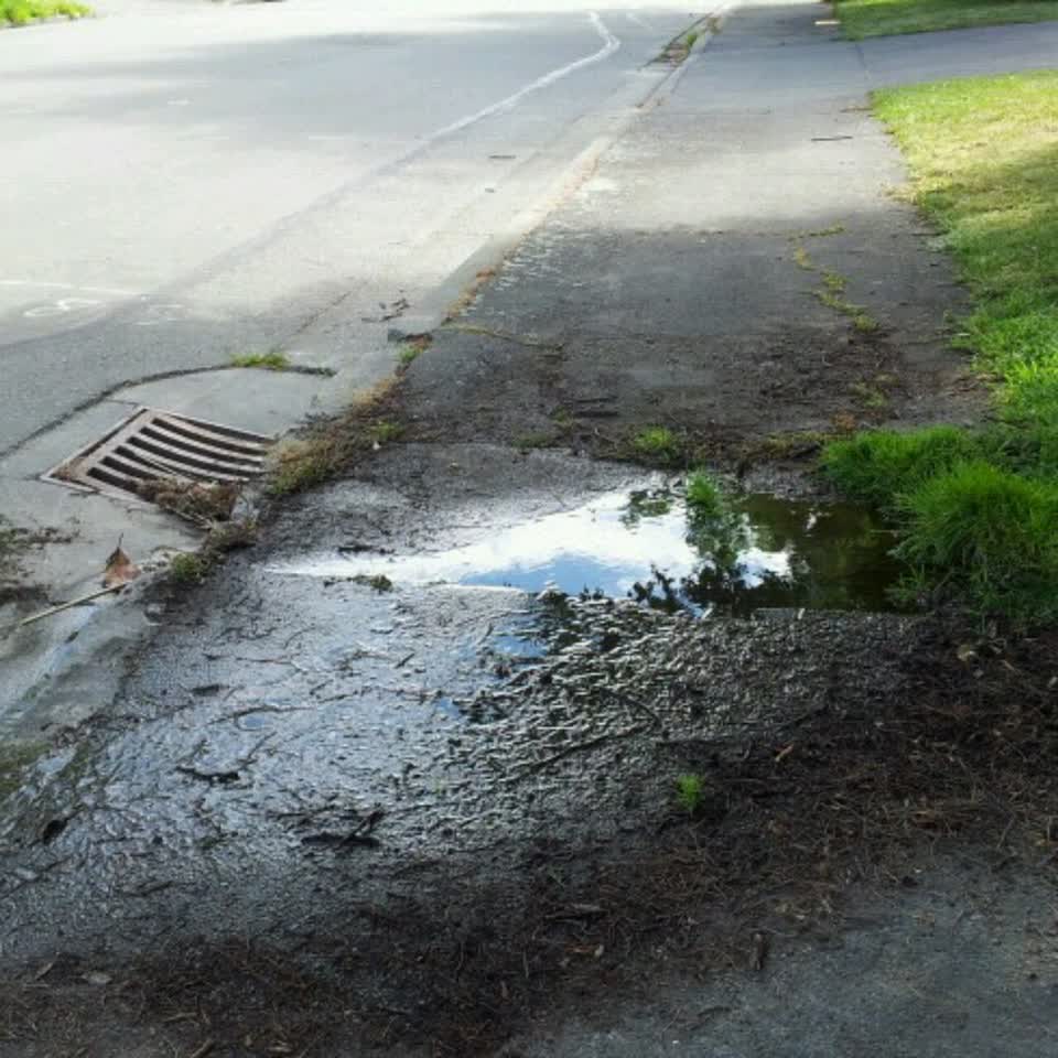The photograph attached to this wastewater/stormwater report