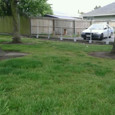 Parks, a report photo