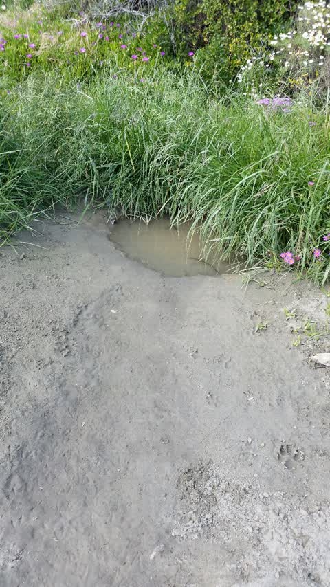 Wastewater/Stormwater, a report photo