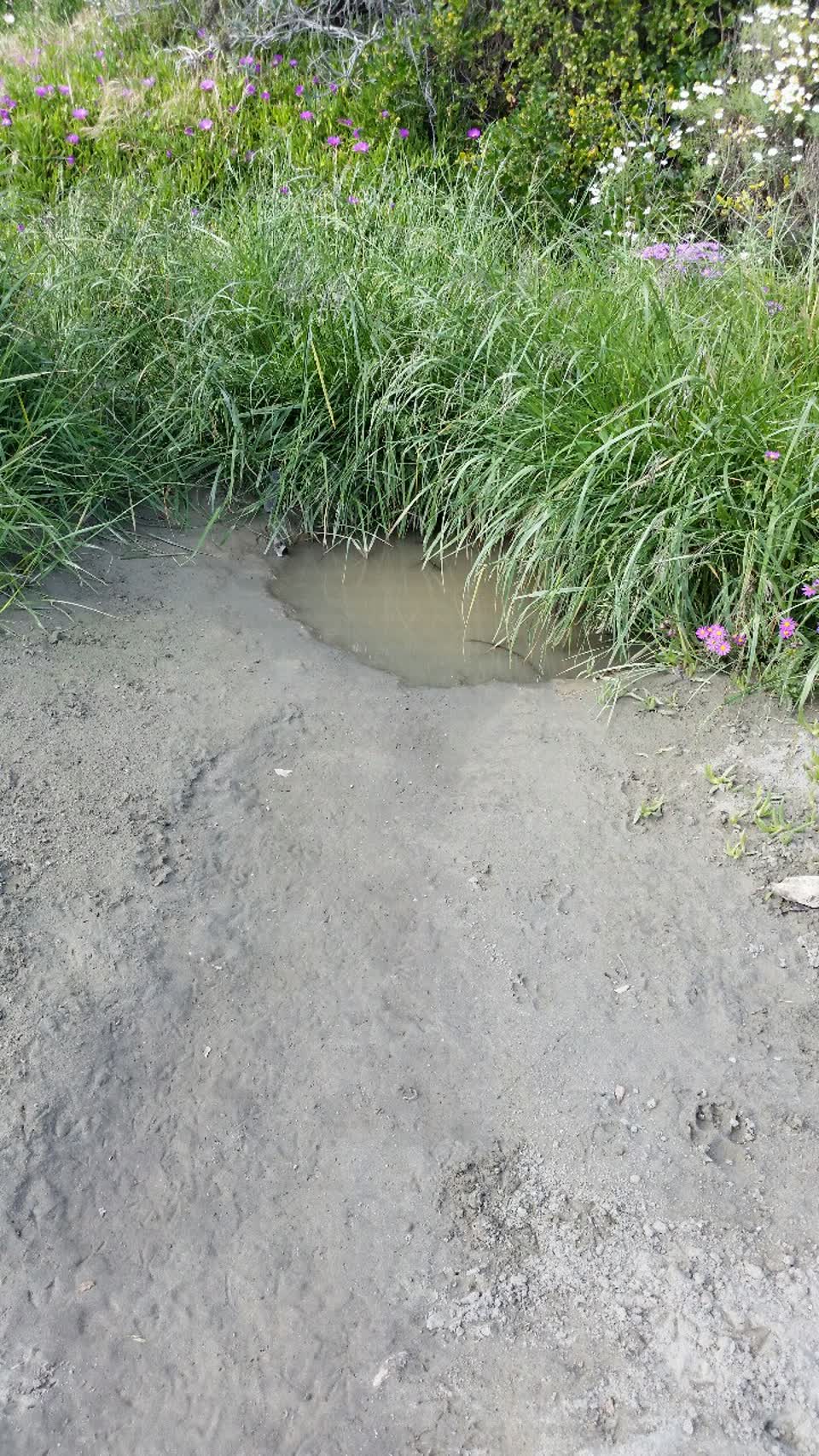 The photograph attached to this wastewater/stormwater report