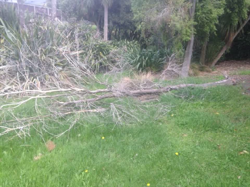 The photograph attached to this parks report