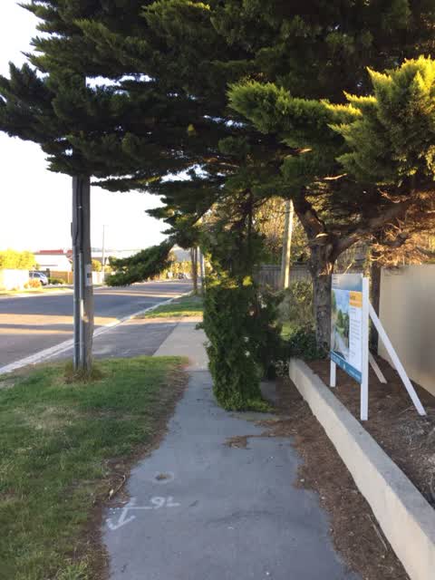 Roading/Streets, a report photo